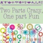 Two Parts Crazy, One Part Fun