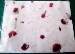 translucent paper, roses, wiilovewebkinzfun