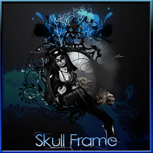  photo skull frame advert_zpsp4zga6gt.png