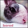 Untitled-2.gif
