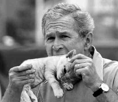 Bush eats a kitten