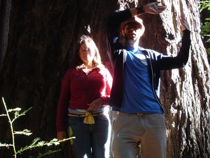 mark and rebecca redwoods photo mrredwoodsWEB.jpg