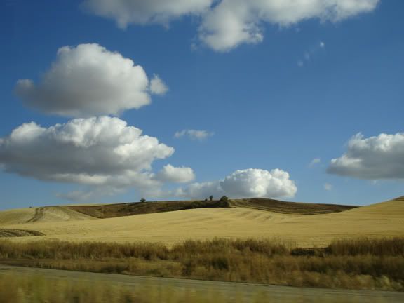 the palouse photo thepalouseWEB.jpg