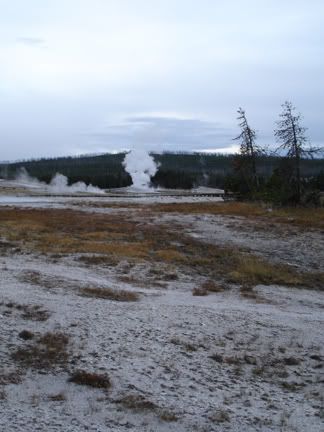 geyser photo yellowstone1.jpg