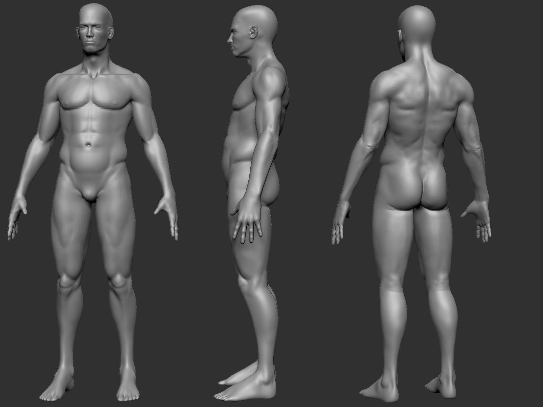 anatomy-2.jpg