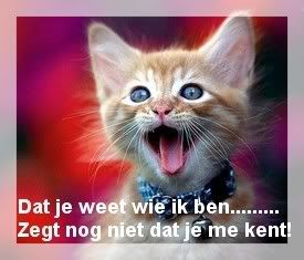 spreuk1.jpg picture by carolien_04