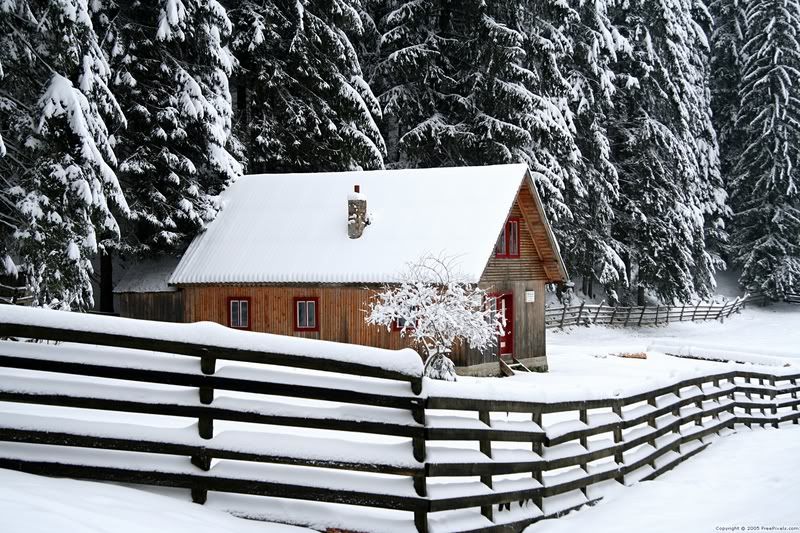 Cabin in the snowy woods