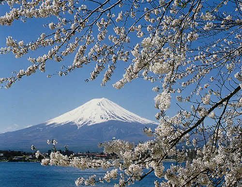 mt fuji Pictures, Images and Photos
