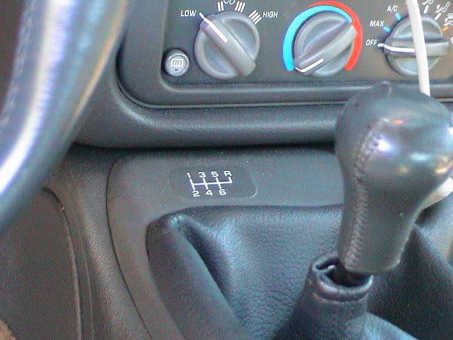 DSC00206.jpg