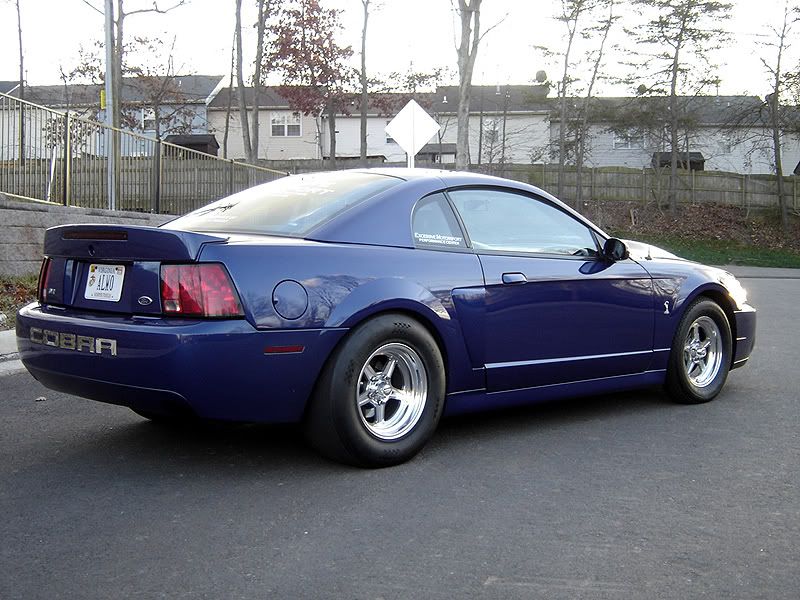 Lets See All The Different Rims On The 03 Cobras 