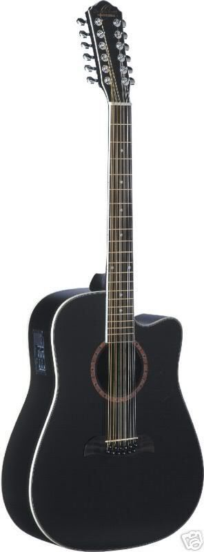 OscarSchmidt12string.jpg