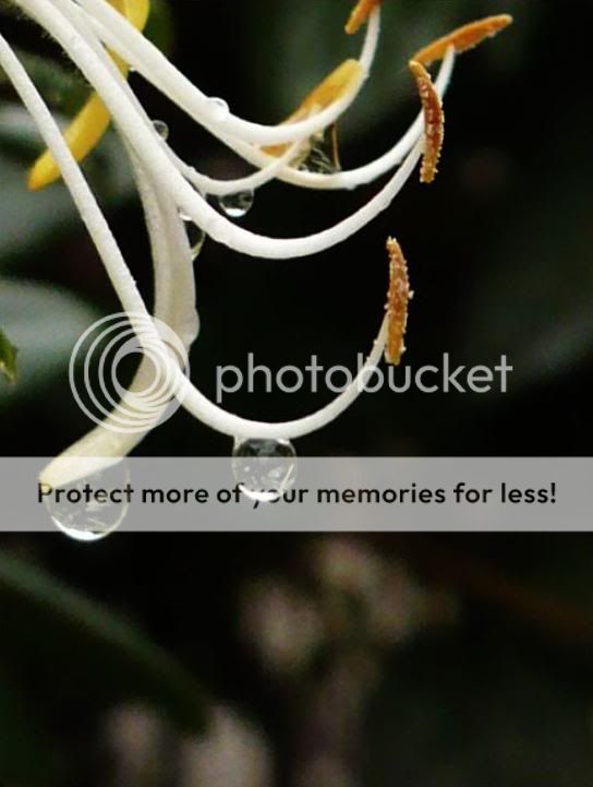 剪烛北望话立冬 winter begins