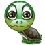turtle.gif